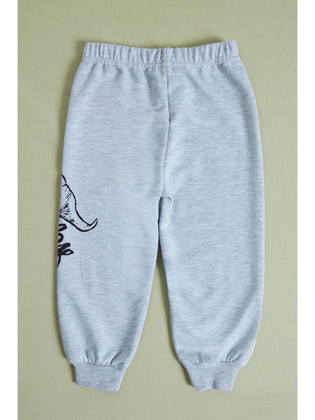 Gri Dinozor Baskılı Erkek Çocuk Sweatshirt Takım-4