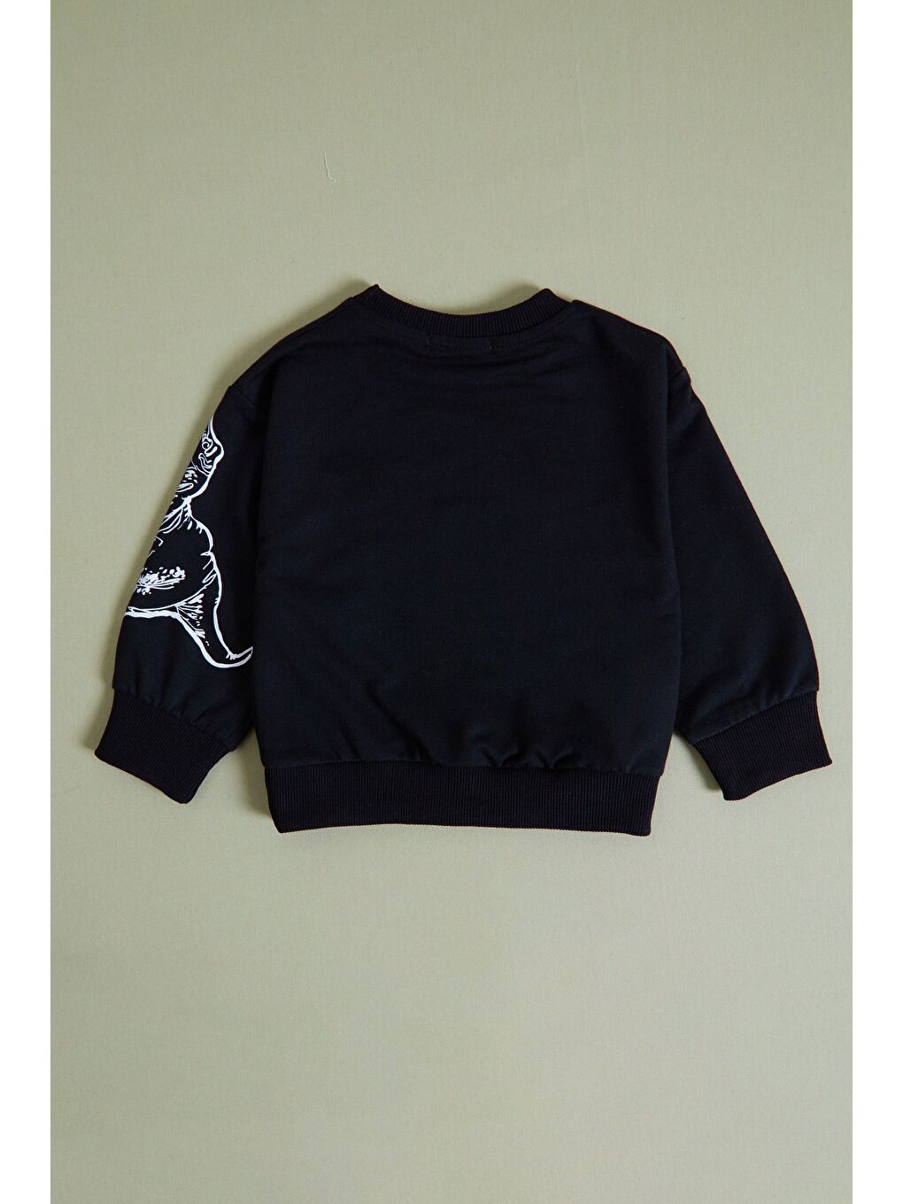 Siyah Dinozor Baskılı Erkek Çocuk Sweatshirt Takım-2