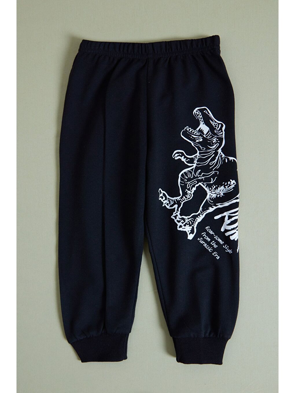 Siyah Dinozor Baskılı Erkek Çocuk Sweatshirt Takım-3