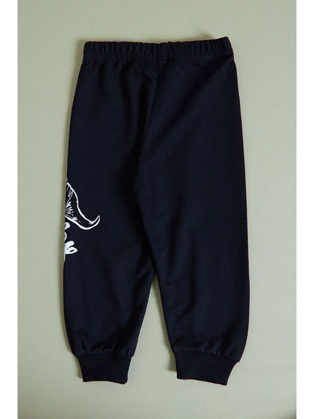 Siyah Dinozor Baskılı Erkek Çocuk Sweatshirt Takım-4