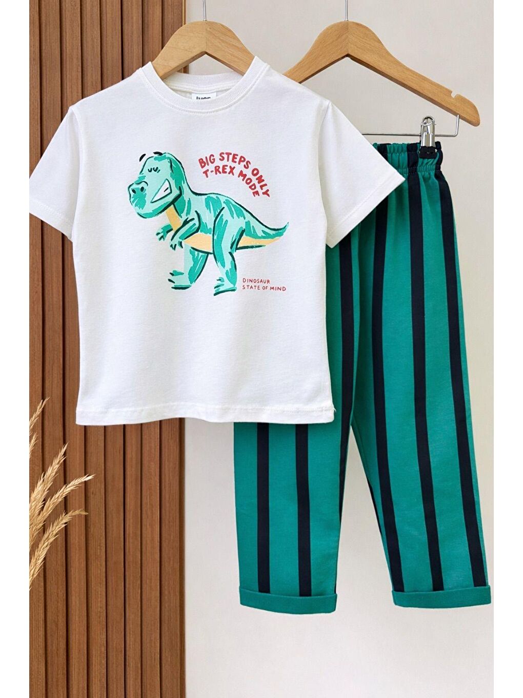 Lila Erkek Çocuk Dinozor Baskılı Bisiklet Yaka Pamuklu Jogger Pantolonlu Altüst Takım-1