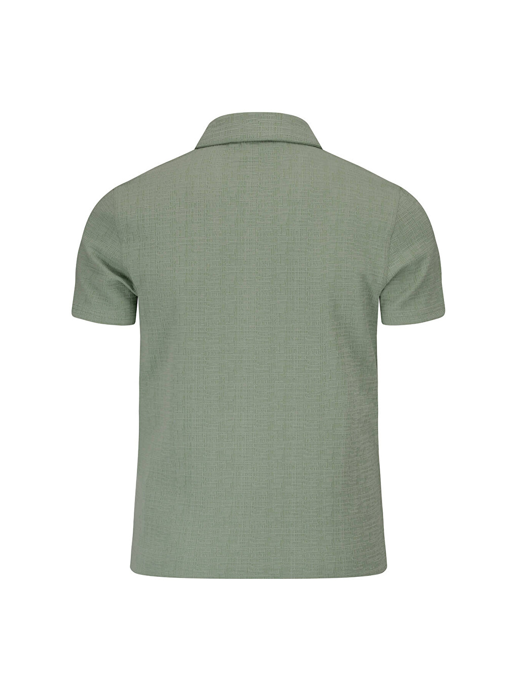Yeşil Regular Fit Apaş Yaka Gömlek-2