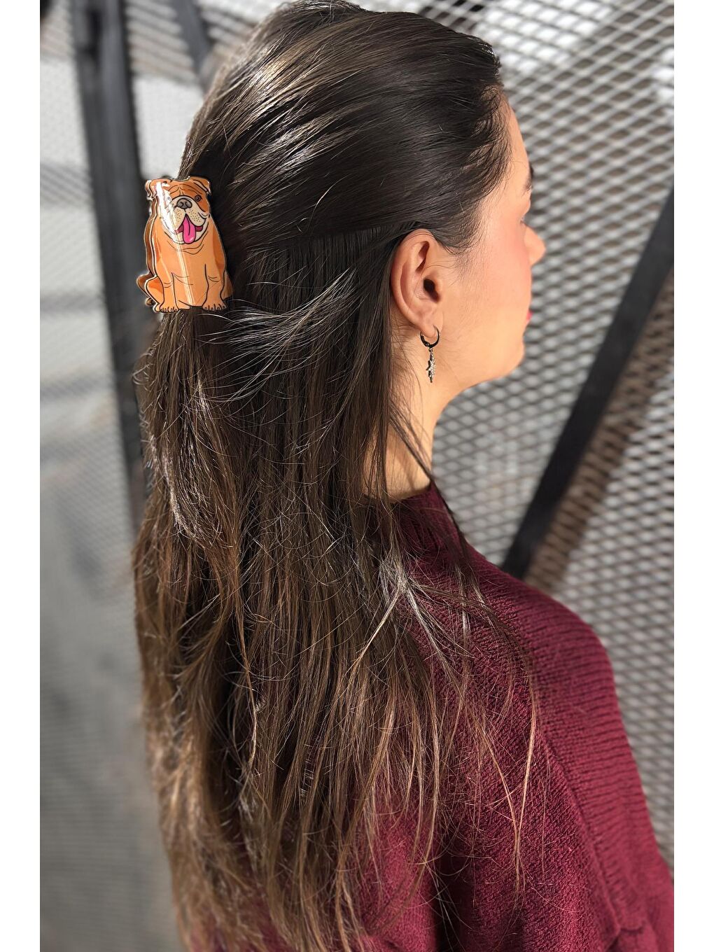 Bej Bulldog Asetat kadın Mandal Toka-2