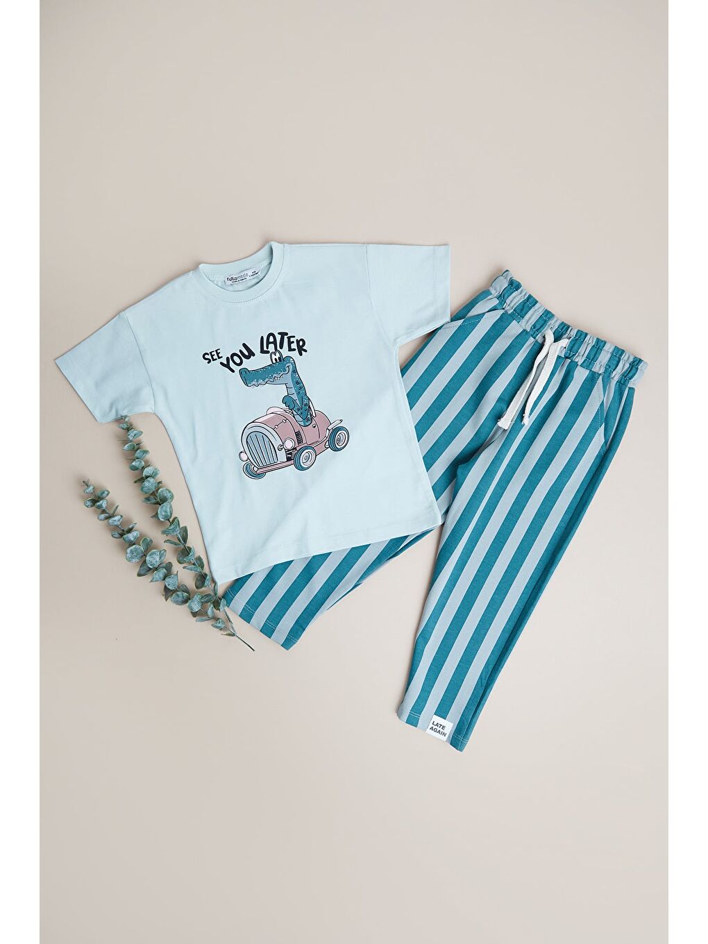 Yeşil %100 Pamuk Baskılı Çizgili Erkek Çocuk 2 Li Takım