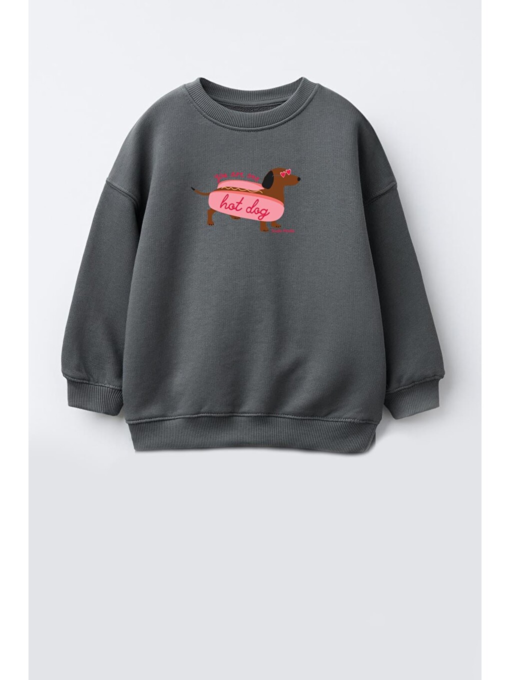 Antrasit Kız Çocuk Baskılı 3 İplik Kumaş Pamuklu Sweatshirt