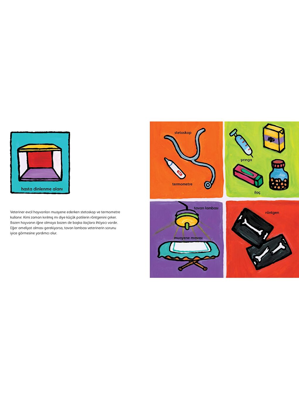 Veteriner Ne Yapar?-3