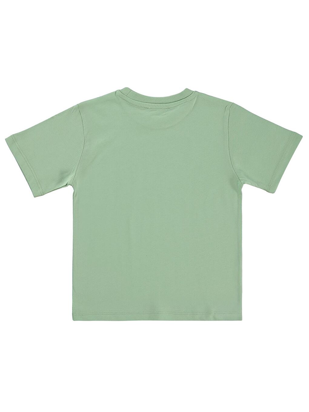 Boys Basic Surf Etiketli 2-5 Yaş Tişört - Yeşil-1