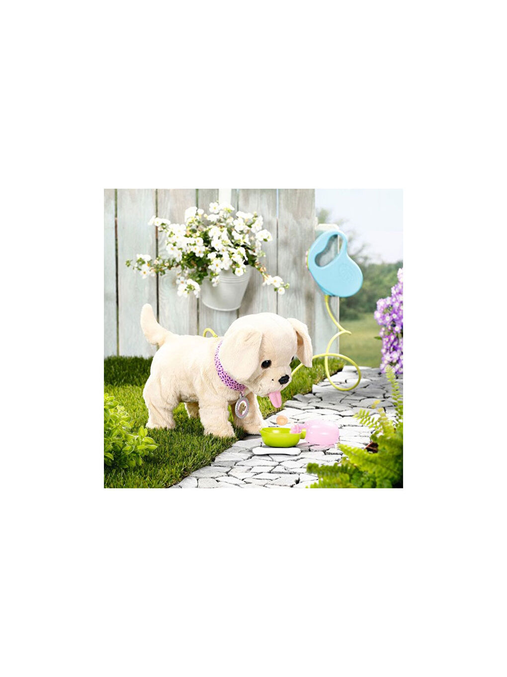 Köpeğim Lucky 835869-3