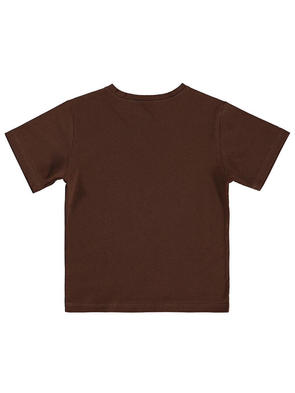 Kahverengi Boys Basic Surf Etiketli 2-5 Yaş Tişört - Kahve-1