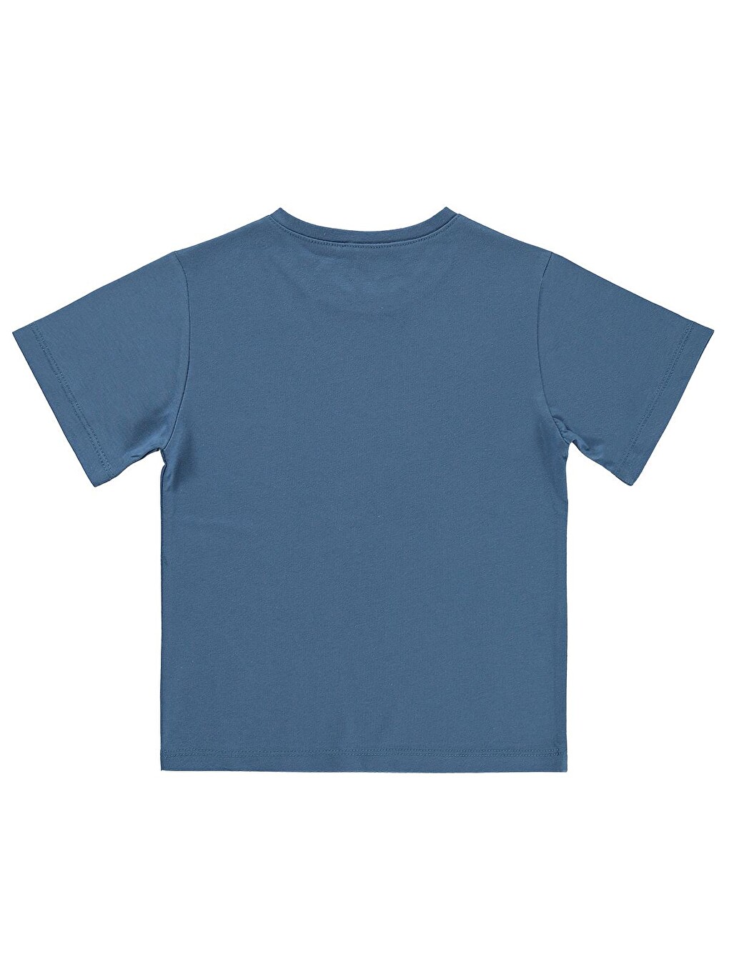 İndigo Boys Basic Surf Etiketli 2-5 Yaş Tişört - Mavi-1