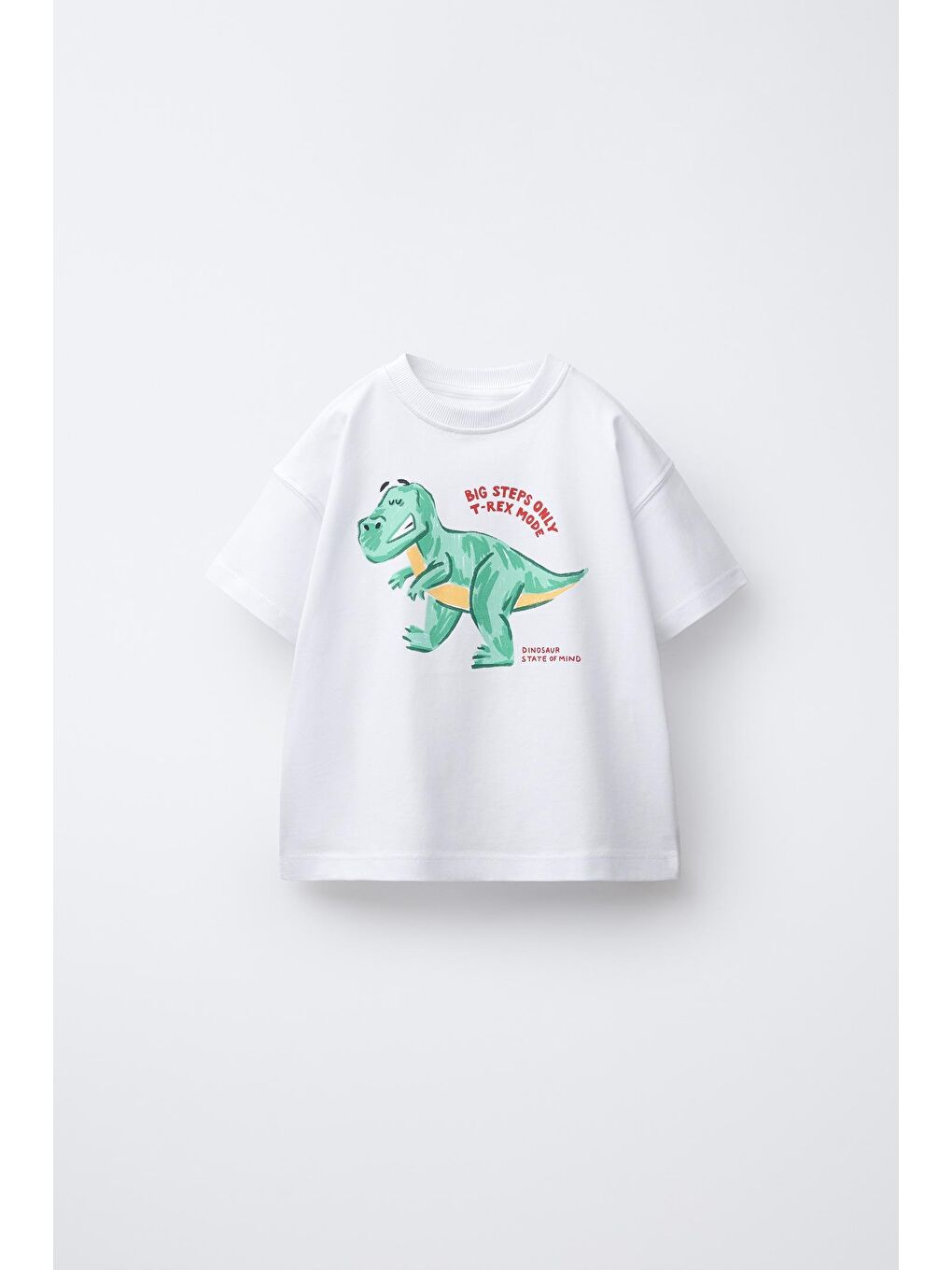 Karışık Erkek Çocuk Pamuklu Beyaz Baskılı T-Shirt Ve Yeşil Çizgili Pantolon Takım-1