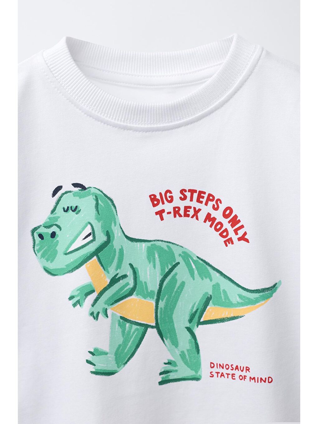 Karışık Erkek Çocuk Pamuklu Beyaz Baskılı T-Shirt Ve Yeşil Çizgili Pantolon Takım-3