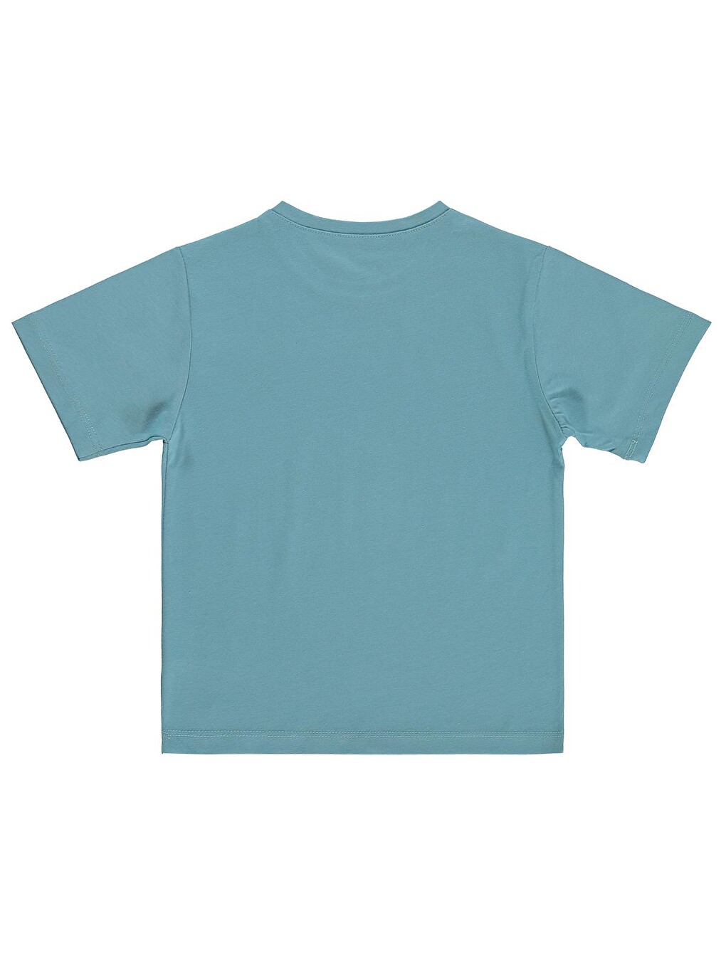 Turkuaz Boys Basic Surf Etiketli 2-5 Yaş Tişört - Mavi-1