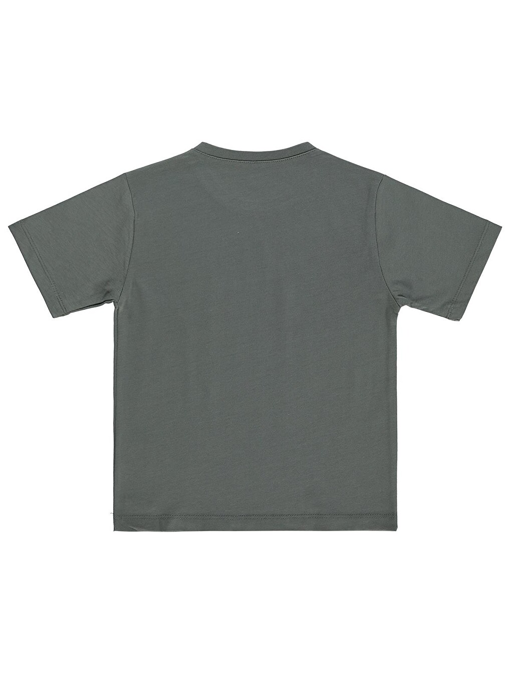 Boys Basic Surf Etiketli 2-5 Yaş Tişört - Haki-1