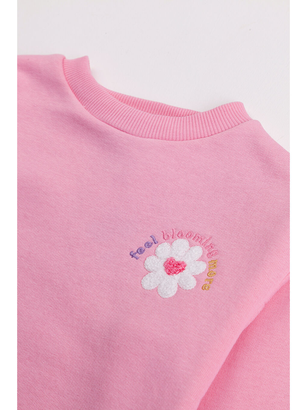 Pembe Kız Çocuk Orta Kalınlıkta Baskılı 2'li Paket Sweatshirt-2