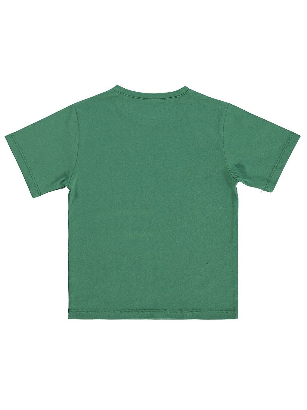 Boys Basic Surf Etiketli 2-5 Yaş Tişört - Yeşil-1
