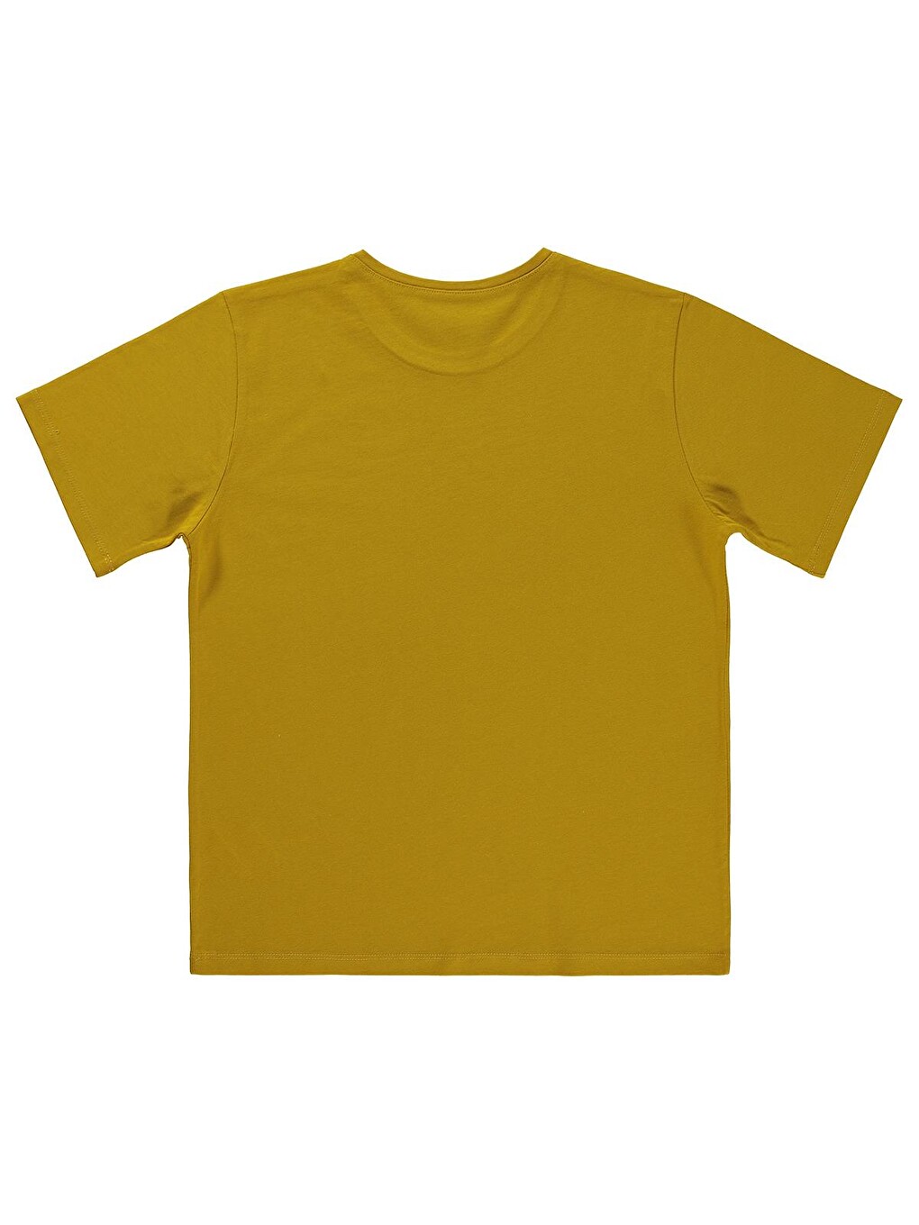 Kahverengi Boys Basic Surf Etiketli 10-13 Yaş Tişört - Sarı-1