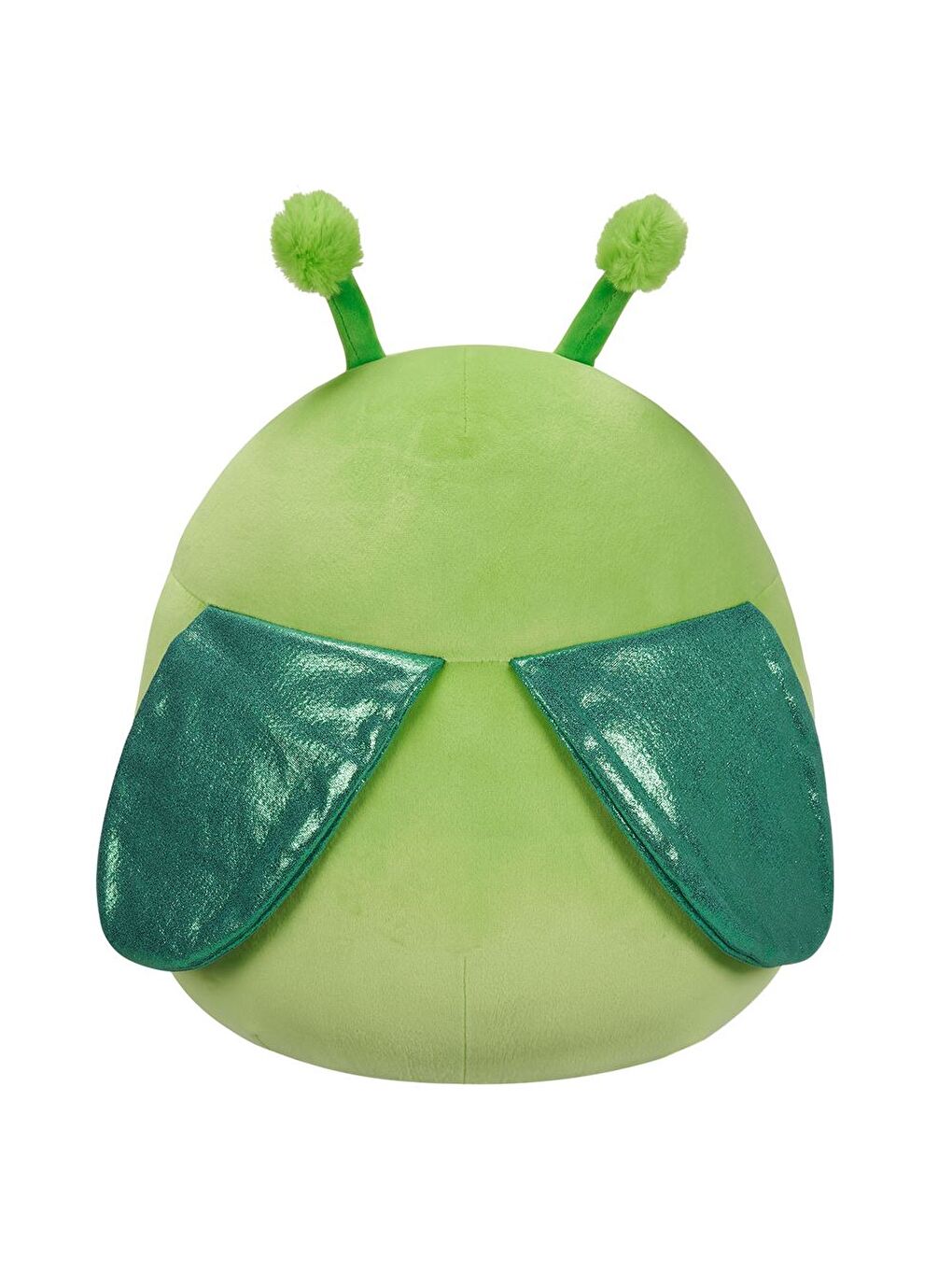 Peygamberdevesi Trenton 30cm SQCR05427-3