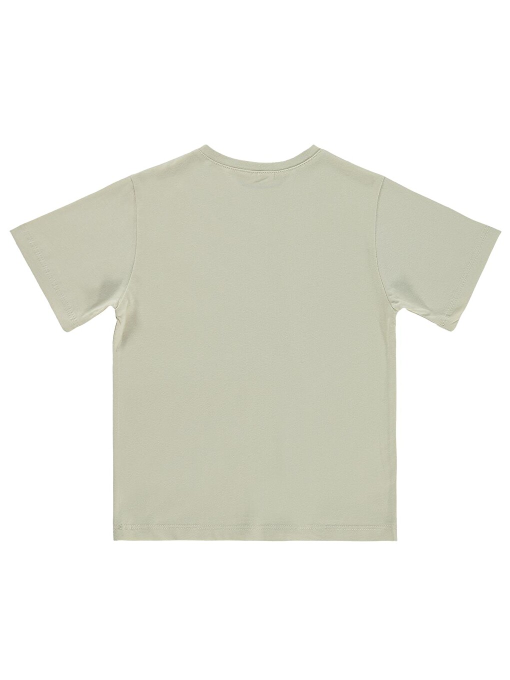 Boys Basic Surf Etiketli 2-5 Yaş Tişört - Bej-1