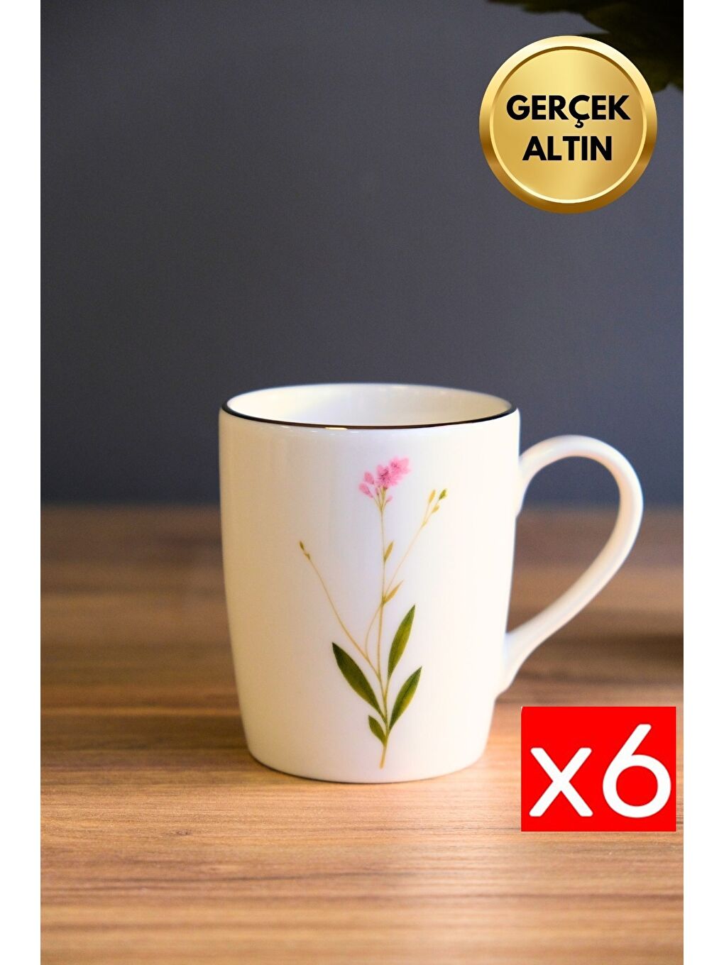 Karışık Porselen Natura Çuha Kulplu Mug Kupa 9cm 220ml 6 lı