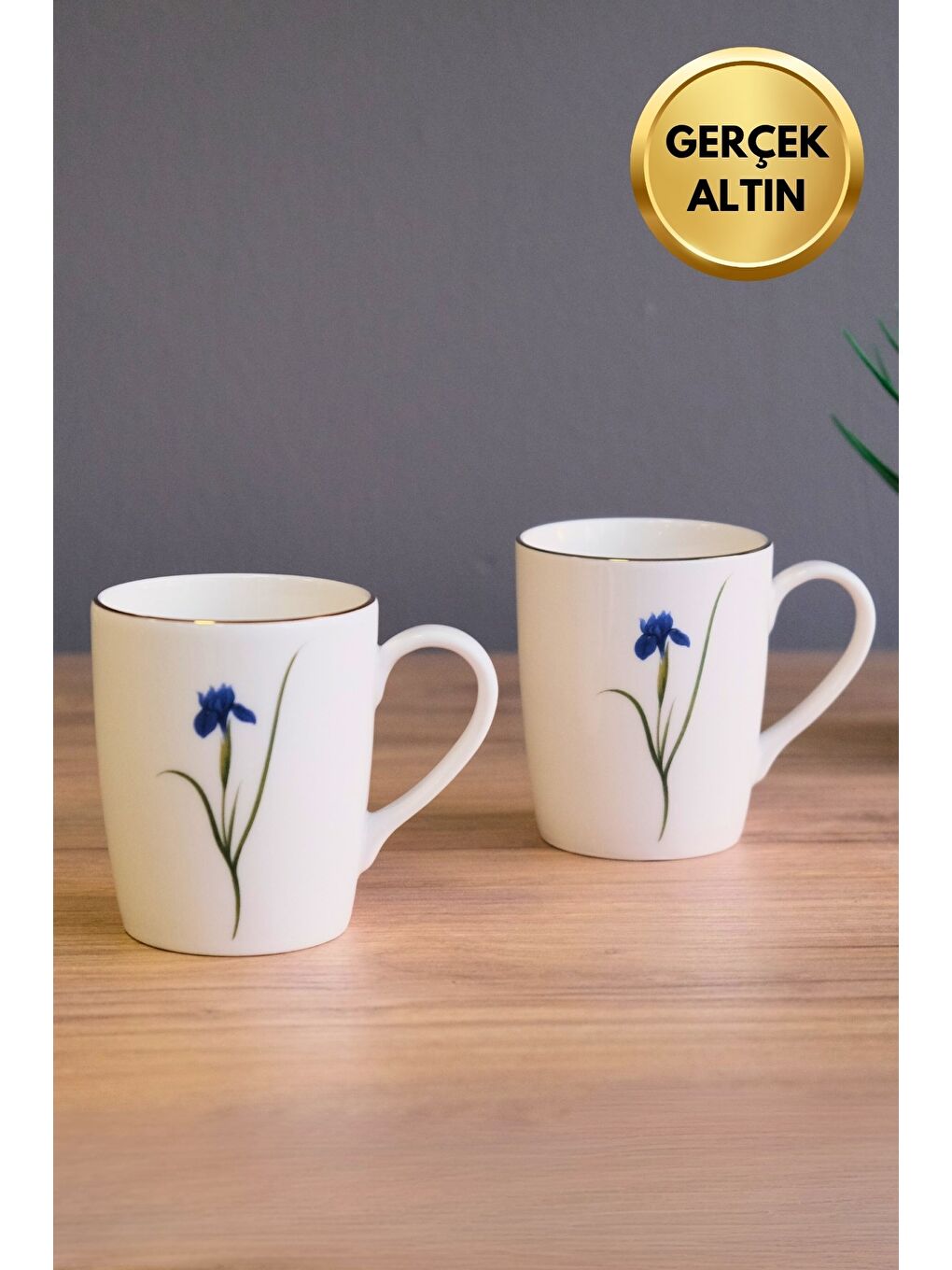 Karışık Porselen Natura İris Kulplu Mug Kupa 9cm 220ml 2 li-1
