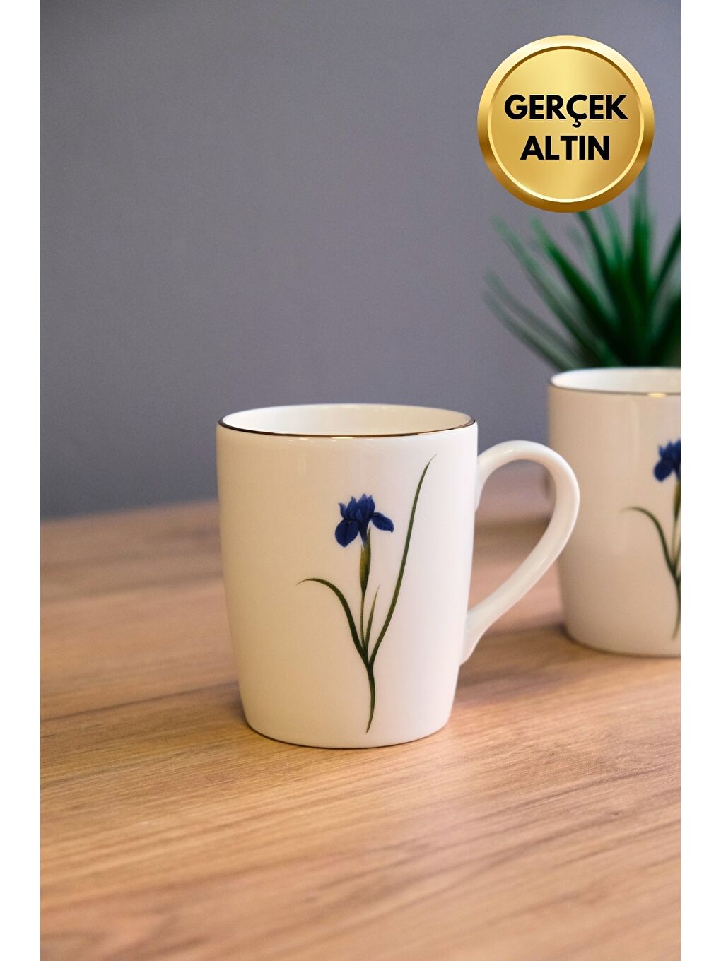 Karışık Porselen Natura İris Kulplu Mug Kupa 9cm 220ml 2 li-2