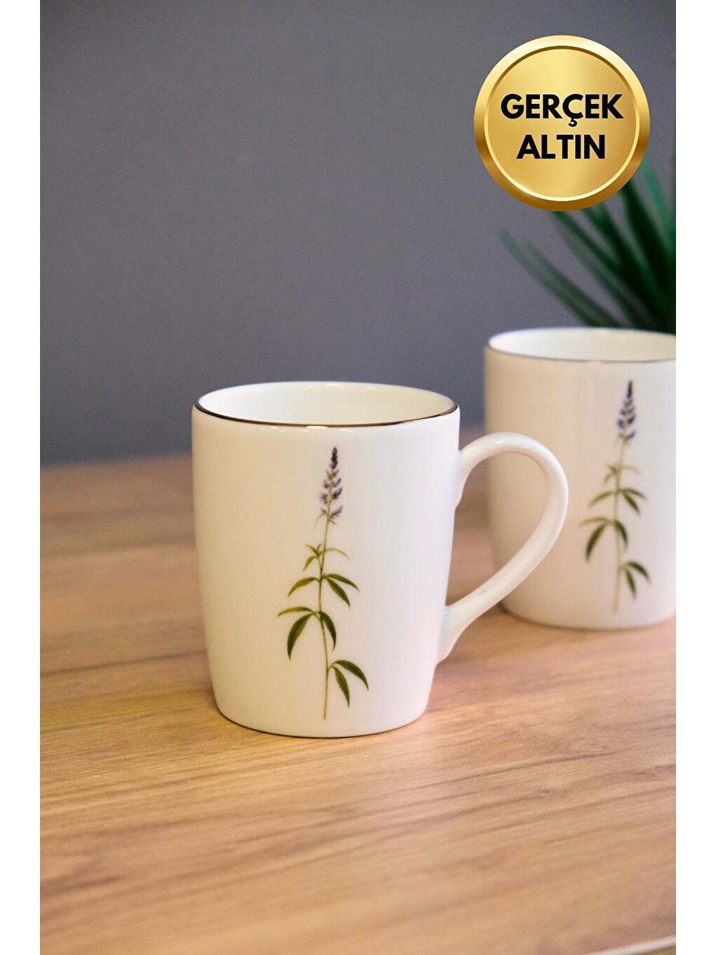 Karışık Porselen Natura Salkım Kulplu Mug Kupa 9cm 220ml 2 li-2