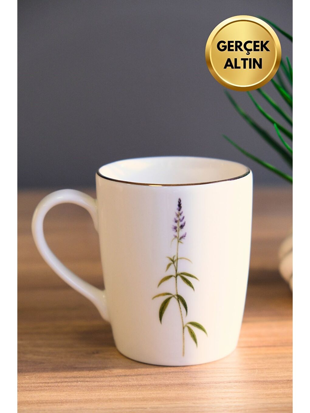 Karışık Porselen Natura Salkım Kulplu Mug Kupa 9cm 220ml 4 lü-2