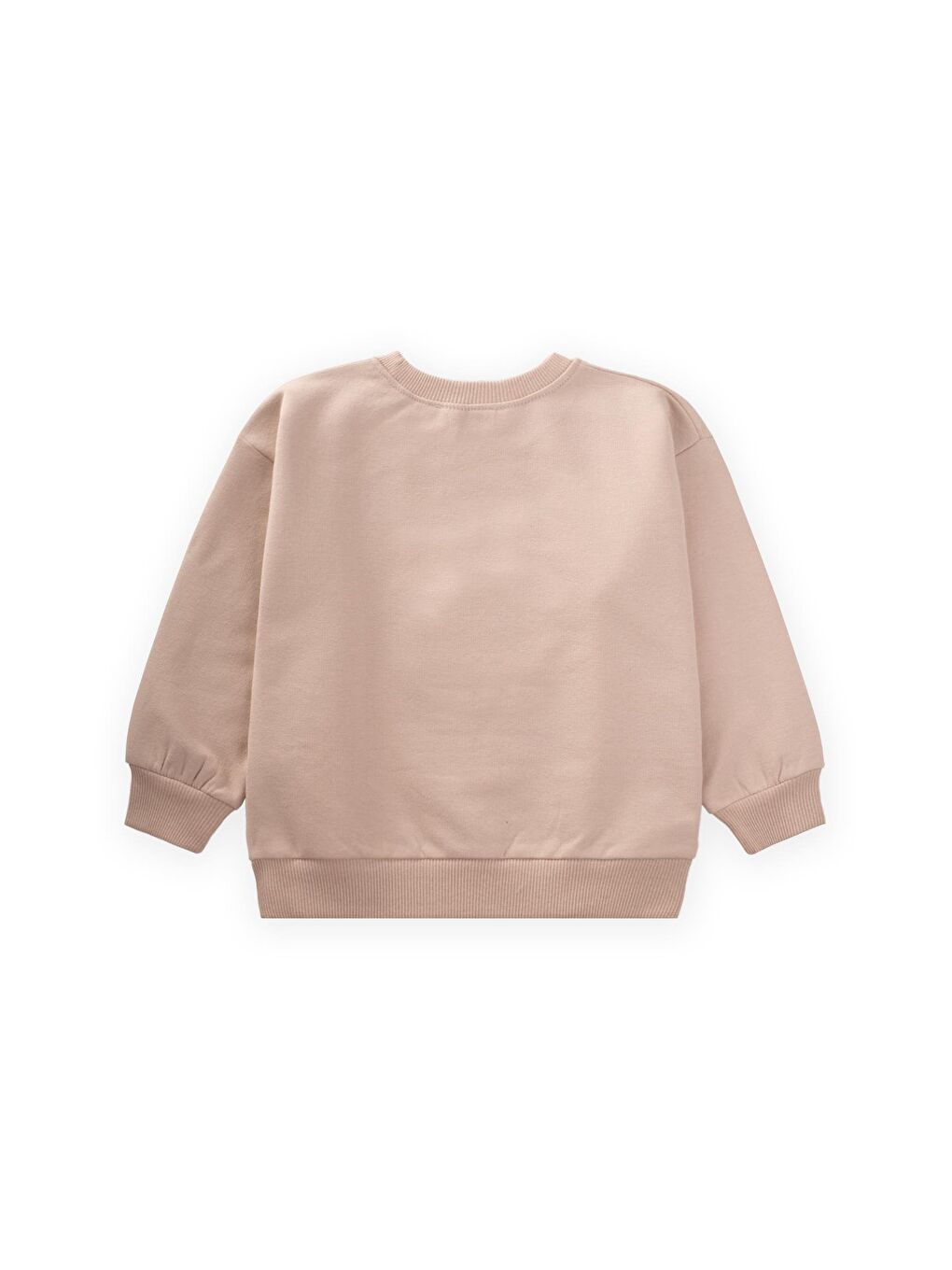 Süzene Nakışlı Sweatshirt 1-7 Yaş Bej-1