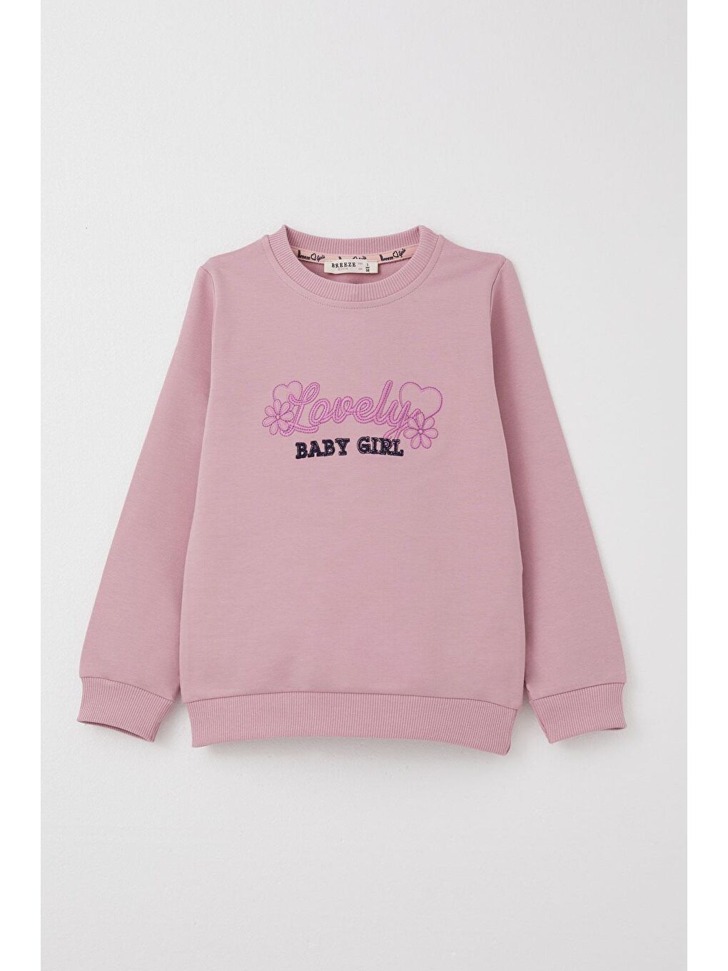 Pembe Kız Çocuk Eşofman Takım Sevgi Temalı Yazı Nakışlı Gülkurusu (1-3 Yaş)-1