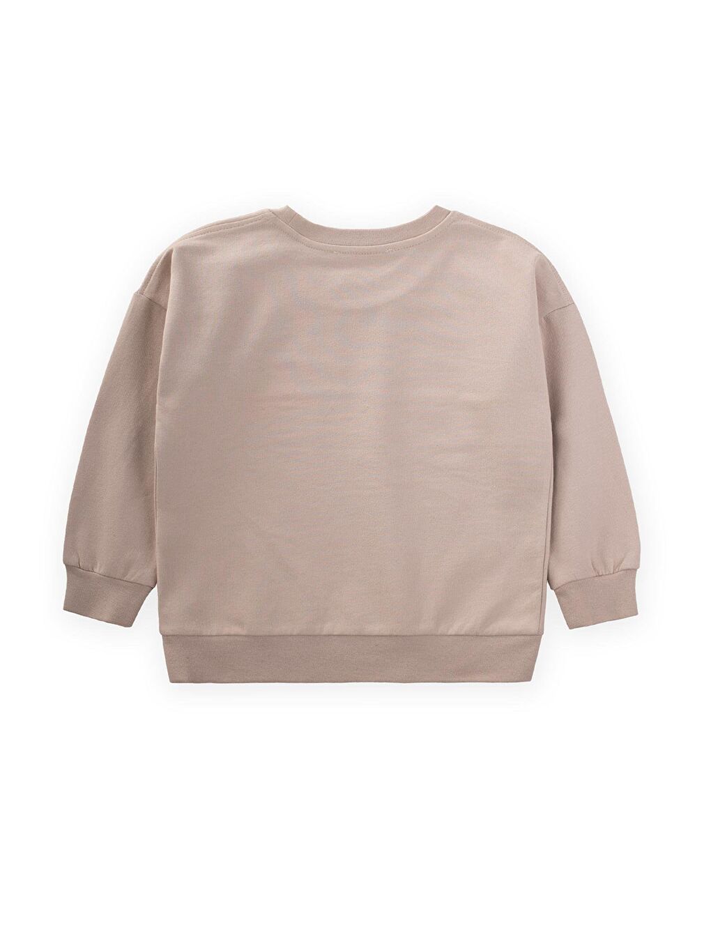 Yazı Baskılı Sweatshirt 3-9 Yaş Bej-1