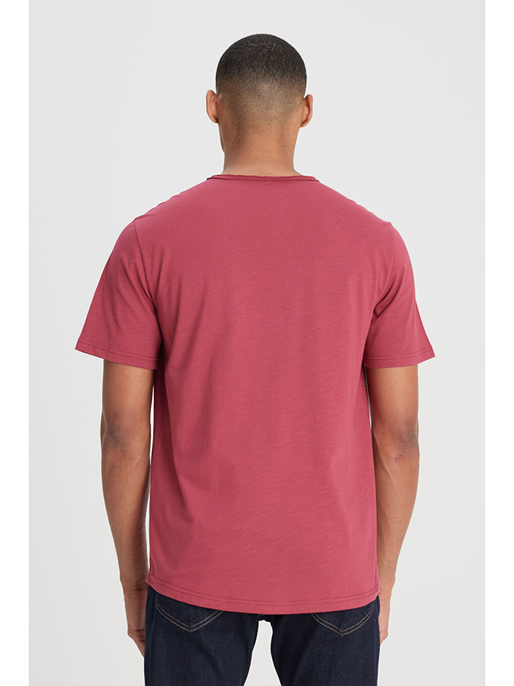 Pembe Regular Fit Normal Kesim Bisiklet Yaka %100 Pamuk Gül Kurusu Tişört-4