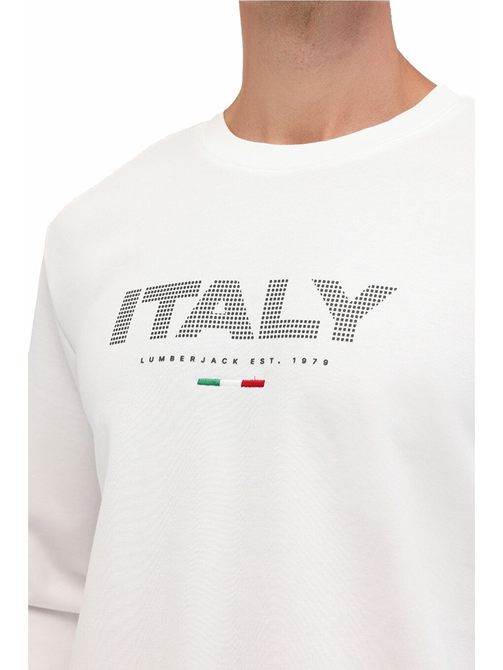 Bej ML GALE 16ITL701 5PR Ekru Erkek Sweatshirt-3