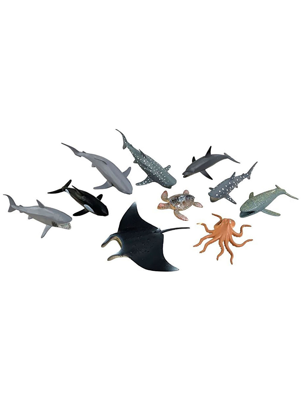 Kutulu 10'lu Okyanus Hayvanları-1