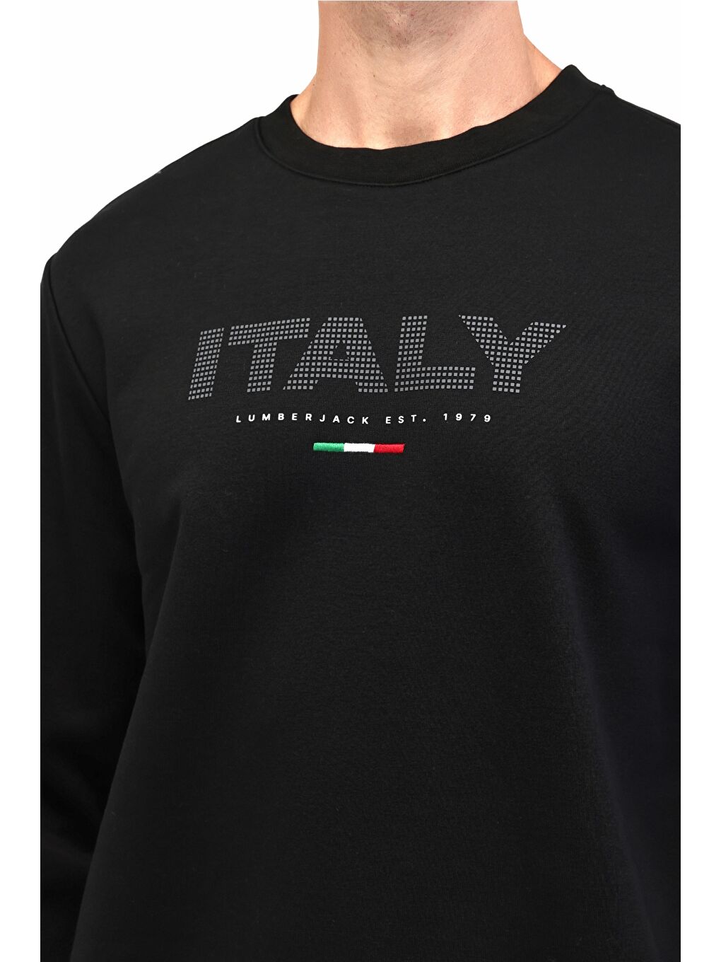 ML GALE 16ITL701 5PR Siyah Erkek Sweatshirt-3