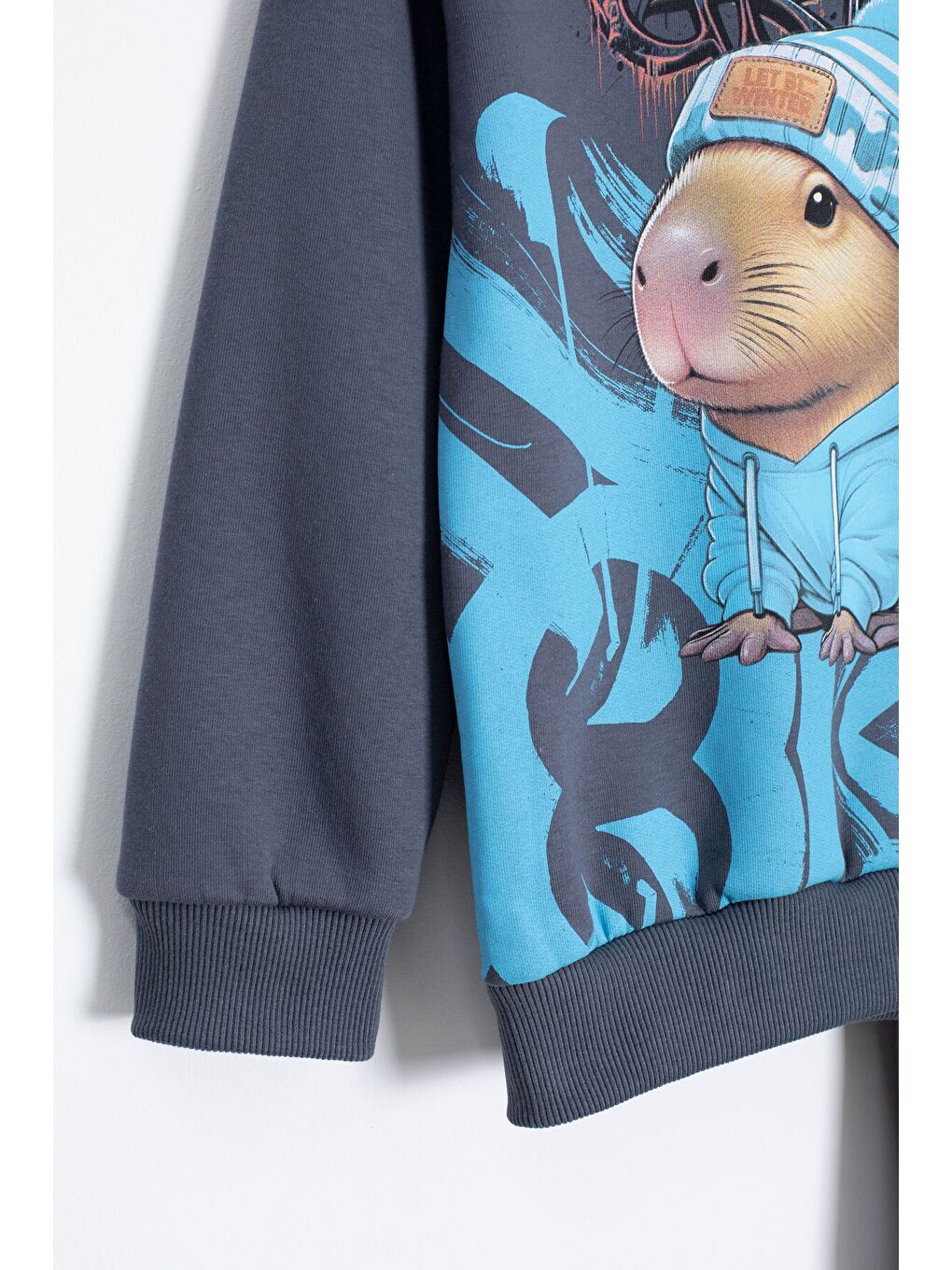 Gri Füme Cool Fare Baskılı Şardonlu Erkek Çocuk Eşofman Takımı 23291-2