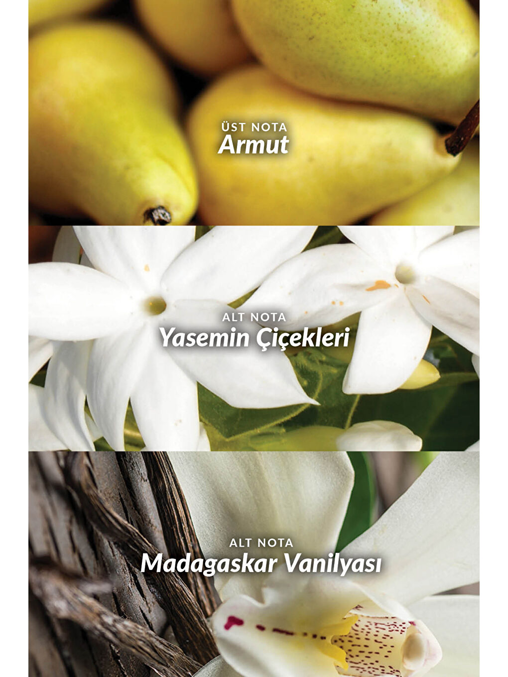 Far Away Beyond Lov U ve Tomorrow Vücut Losyonu Paketi-4