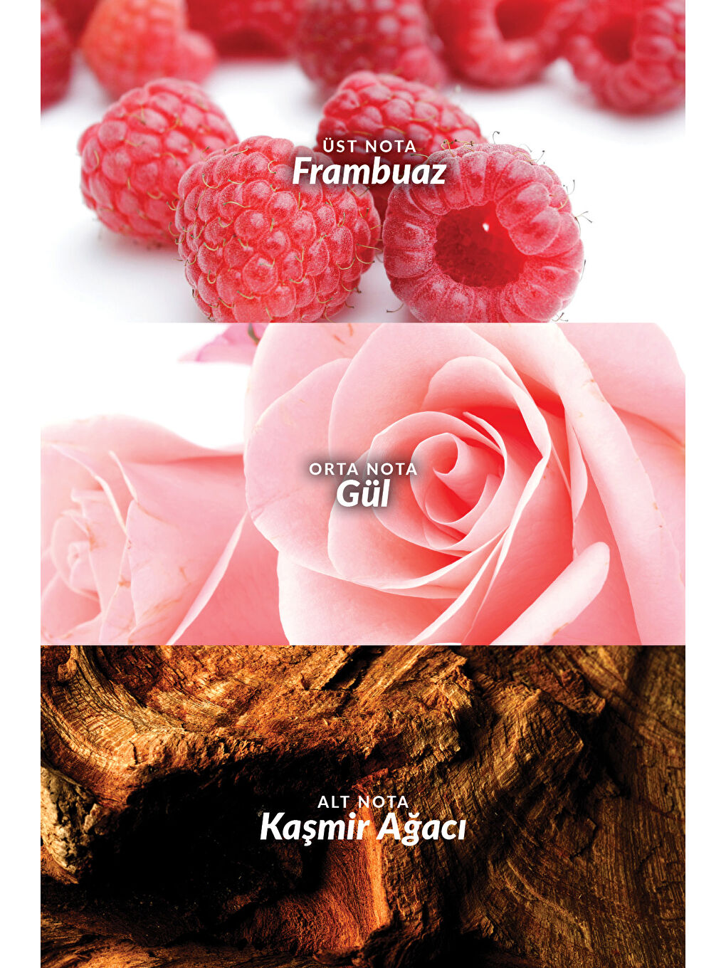 Far Away Beyond Lov U ve Tomorrow Vücut Losyonu Paketi-6