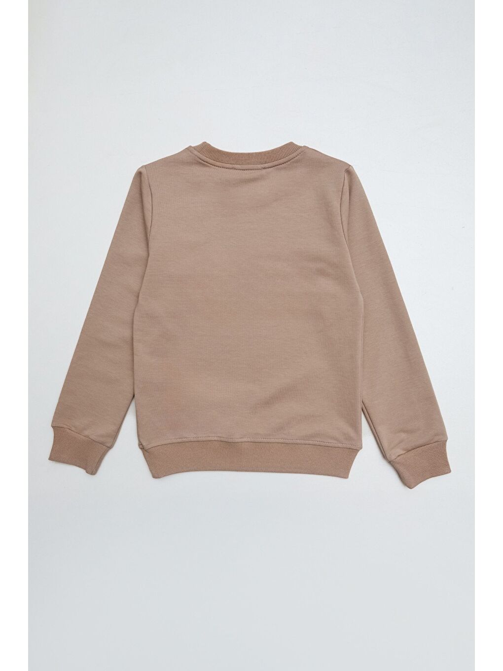 Bej Ayıcık Nakışlı Bisiklet Yaka Kız Çocuk Sweatshirt-2