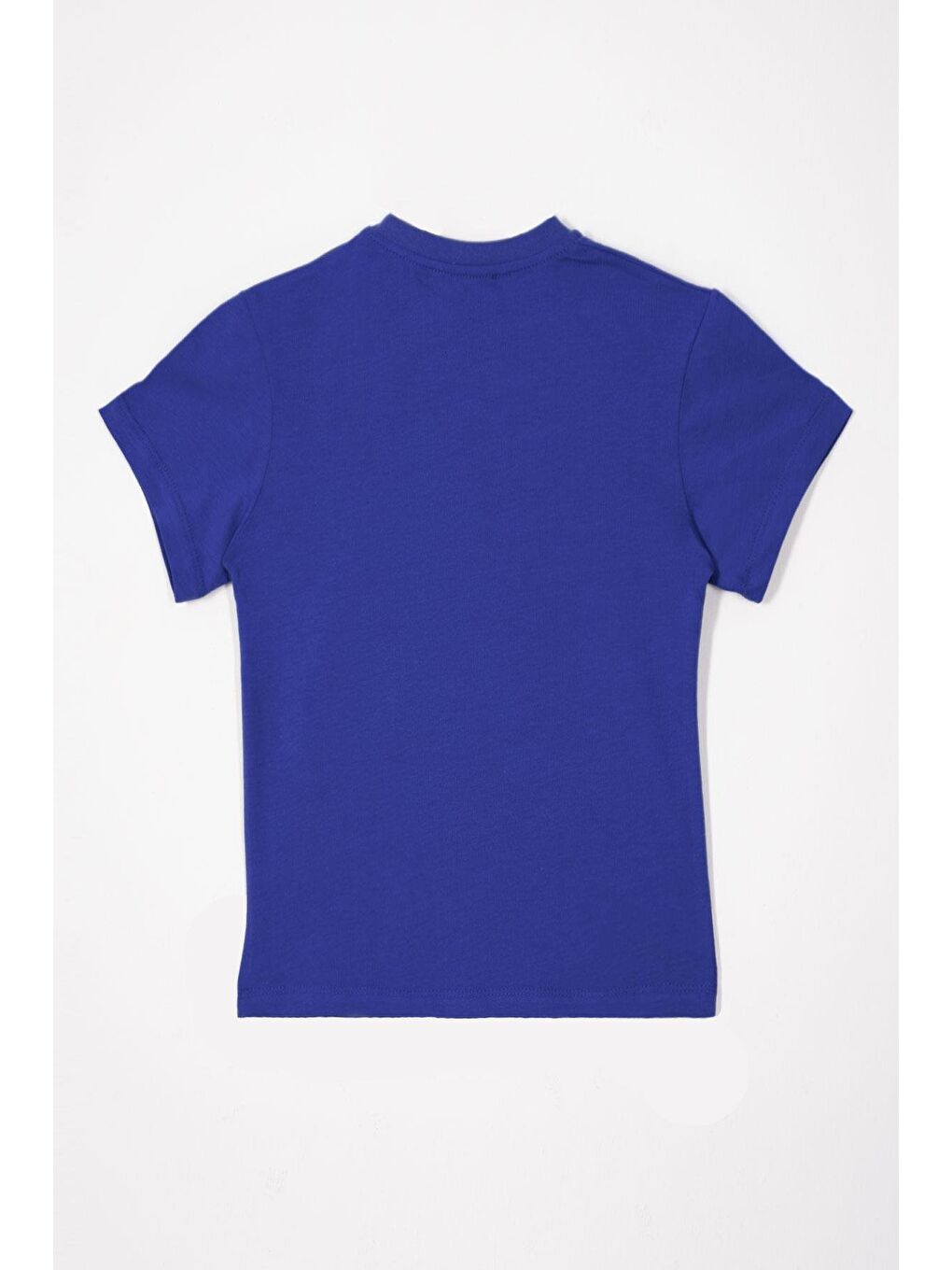 Mavi Bisiklet Yaka Saks Renk Erkek Çocuk Tshirt-4