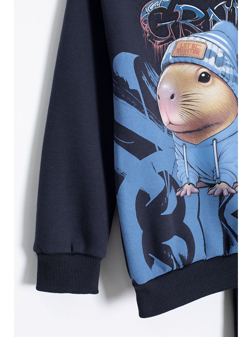 Antrasit Cool Fare Baskılı Şardonlu Erkek Çocuk Eşofman Takımı 23292-2