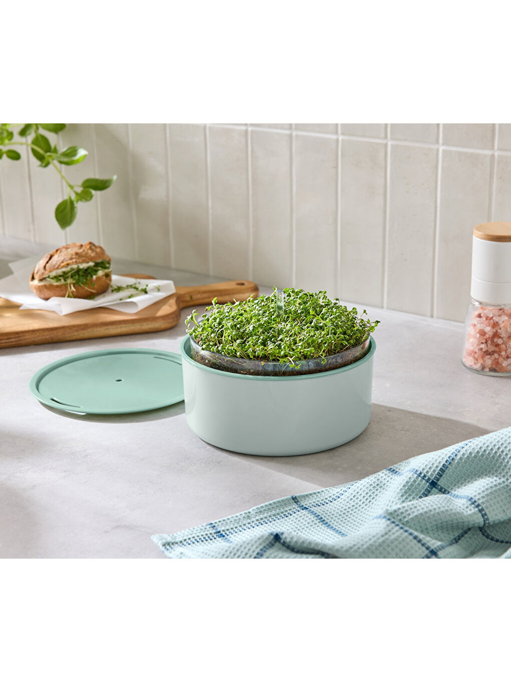 Beyaz Bitki Yetiştirme Seti, “Microgreens”