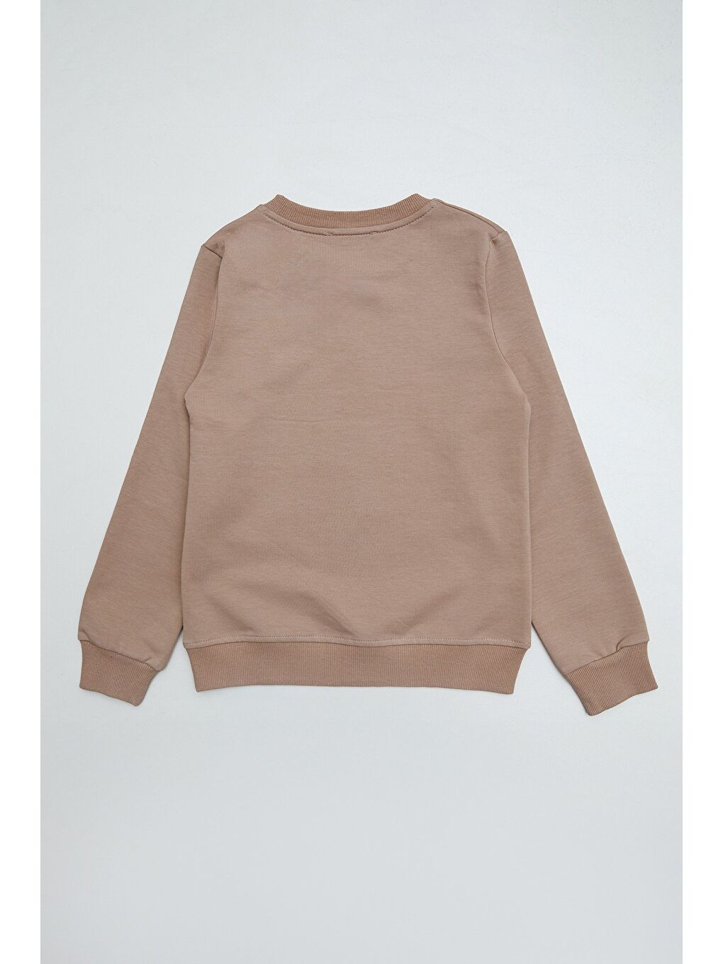 Bej Kelebek Nakışlı Bisiklet Yaka Kız Çocuk Sweatshirt-2