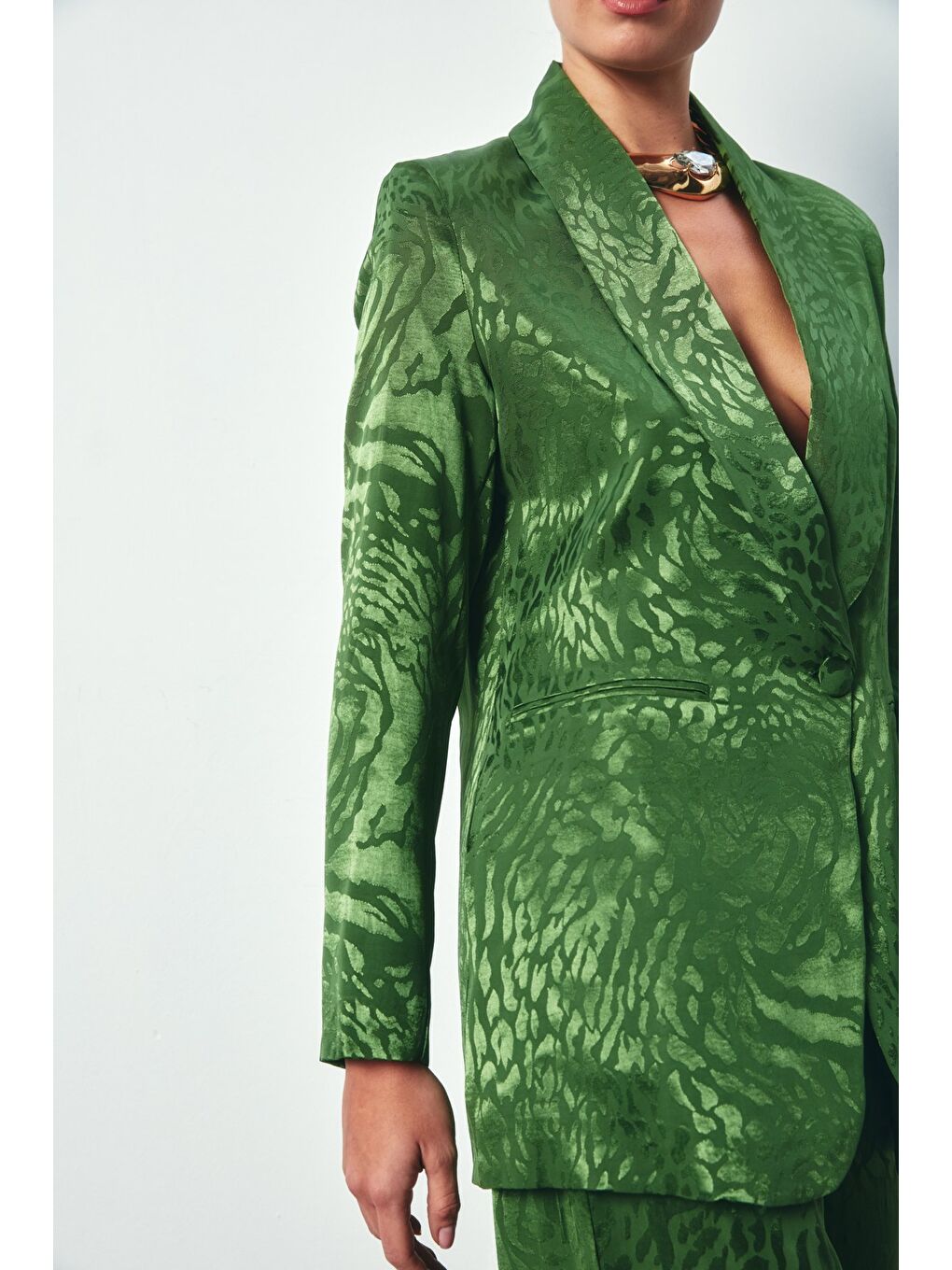 Şal Yaka Desenli Ceket - Yeşil-2