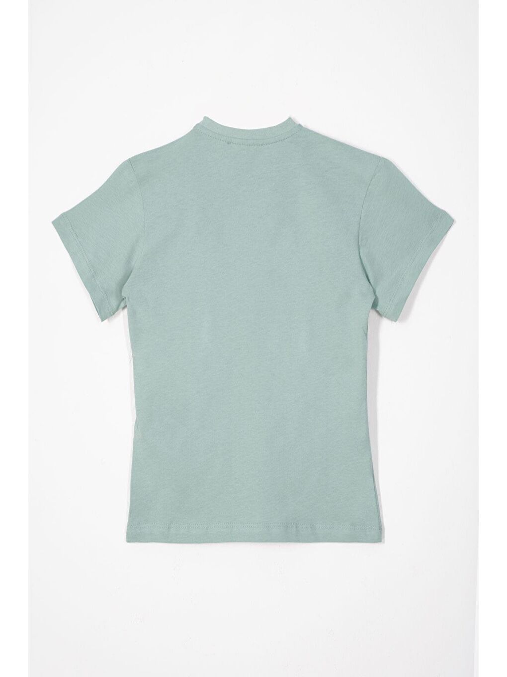 Bisiklet Yaka Çağla Yeşili Renk Erkek Çocuk Tshirt-2