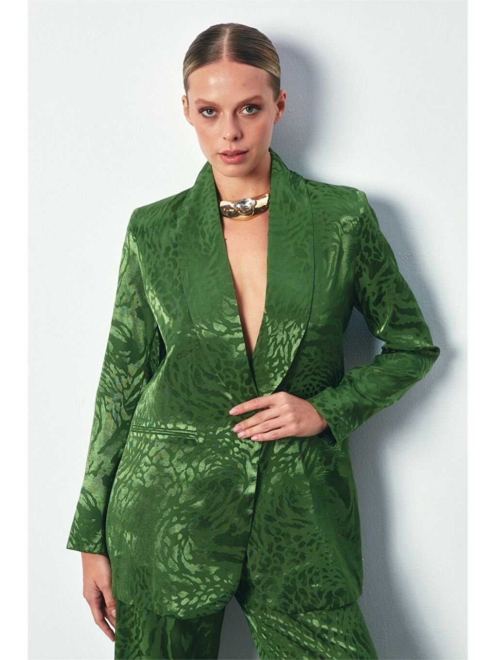 Şal Yaka Desenli Ceket - Yeşil-4