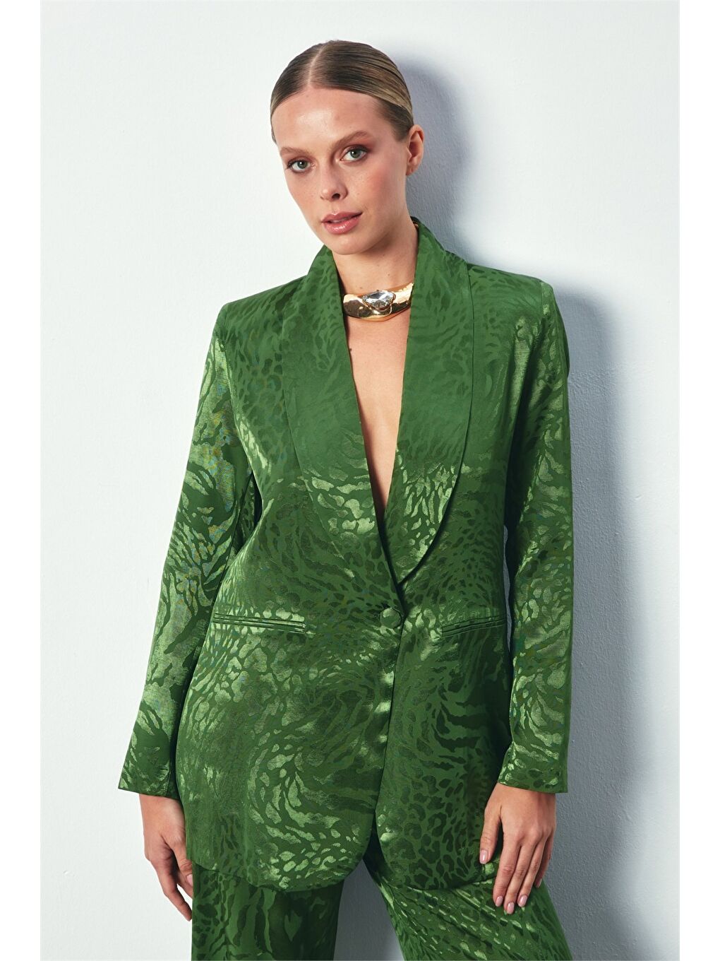 Şal Yaka Desenli Ceket - Yeşil-5