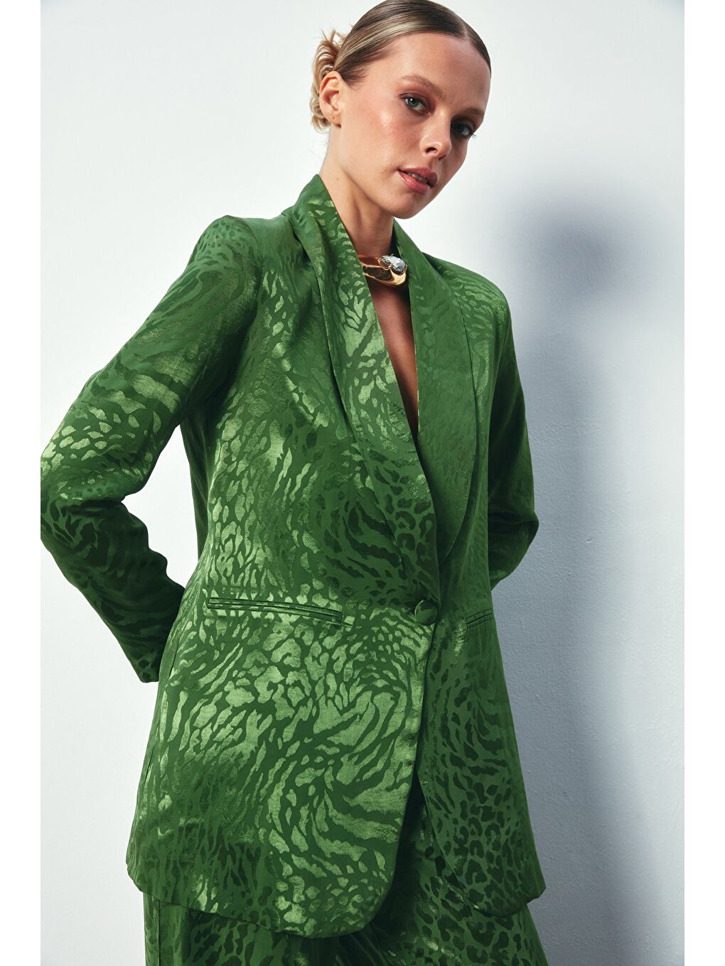 Şal Yaka Desenli Ceket - Yeşil-6