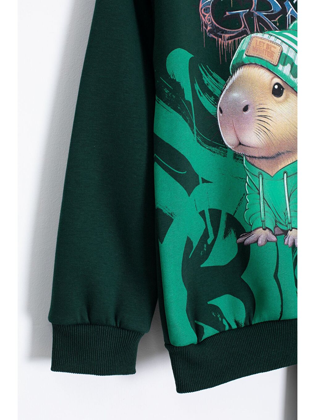 Yeşil Cool Fare Baskılı Şardonlu Erkek Çocuk Eşofman Takımı 23293-2