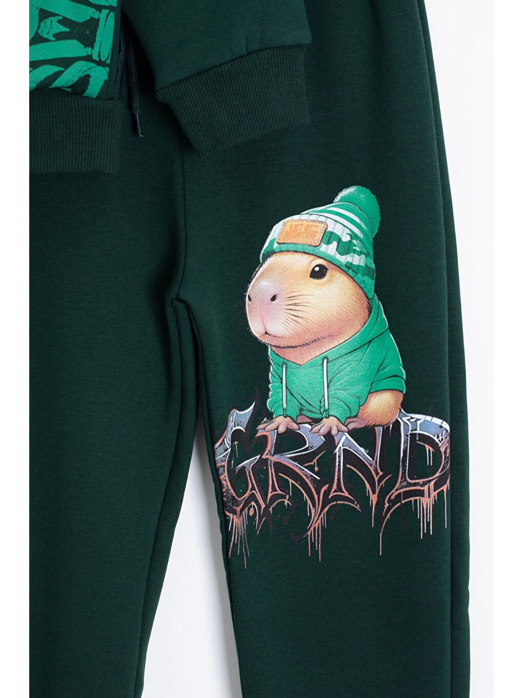 Yeşil Cool Fare Baskılı Şardonlu Erkek Çocuk Eşofman Takımı 23293-4